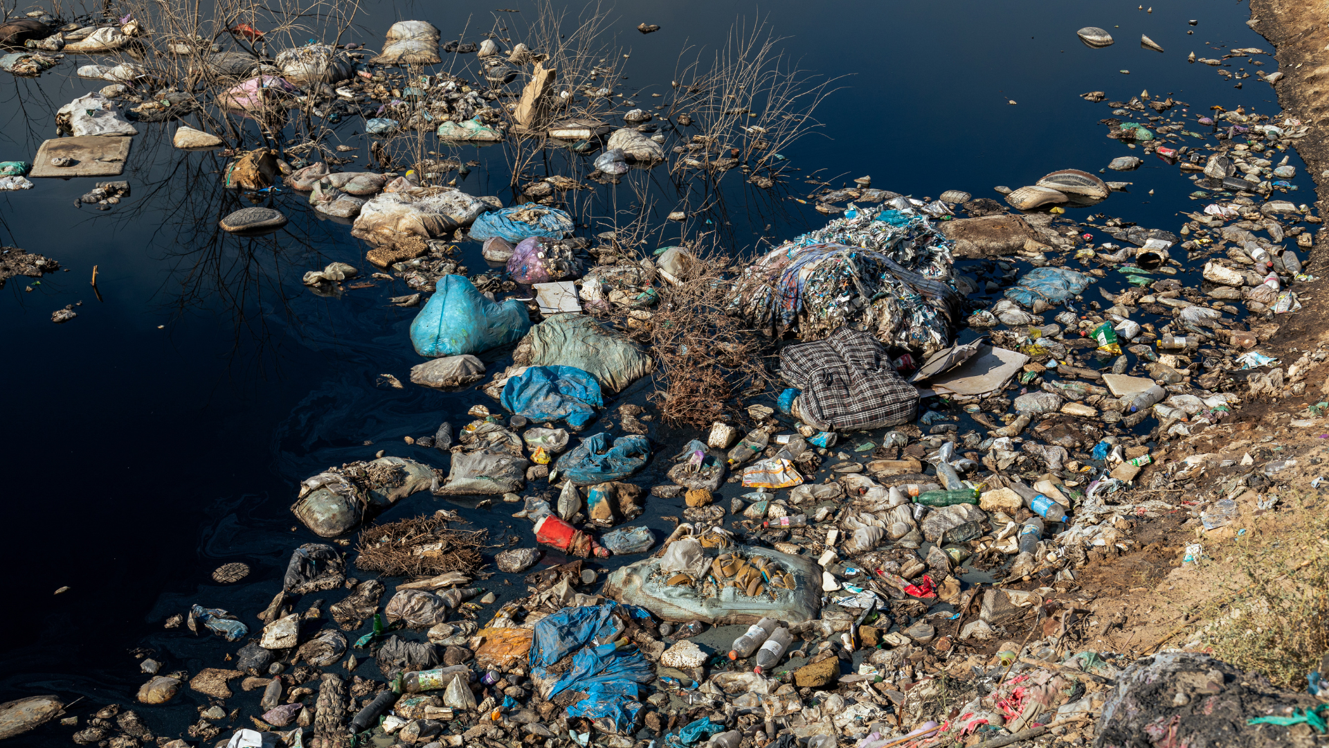 The Environmental Impact of Proper Junk Disposal